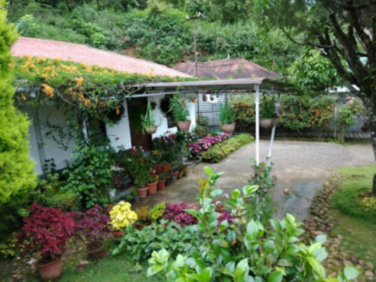 Rheinberg Town Haus Otel Munnar Dış mekan fotoğraf