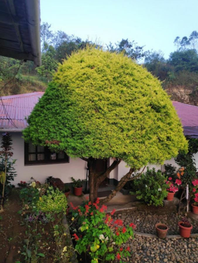 Rheinberg Town Haus Otel Munnar Dış mekan fotoğraf