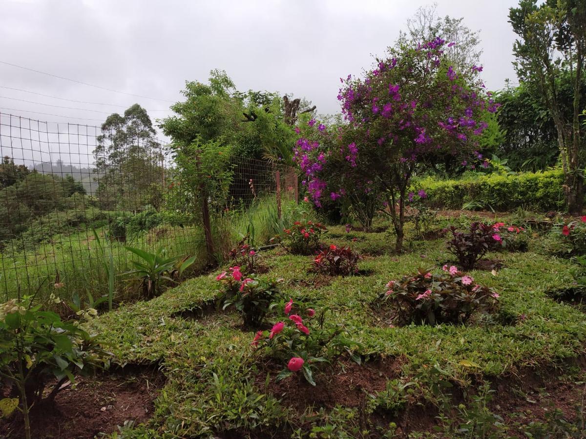 Rheinberg Town Haus Otel Munnar Dış mekan fotoğraf